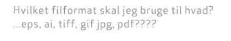 Filformat